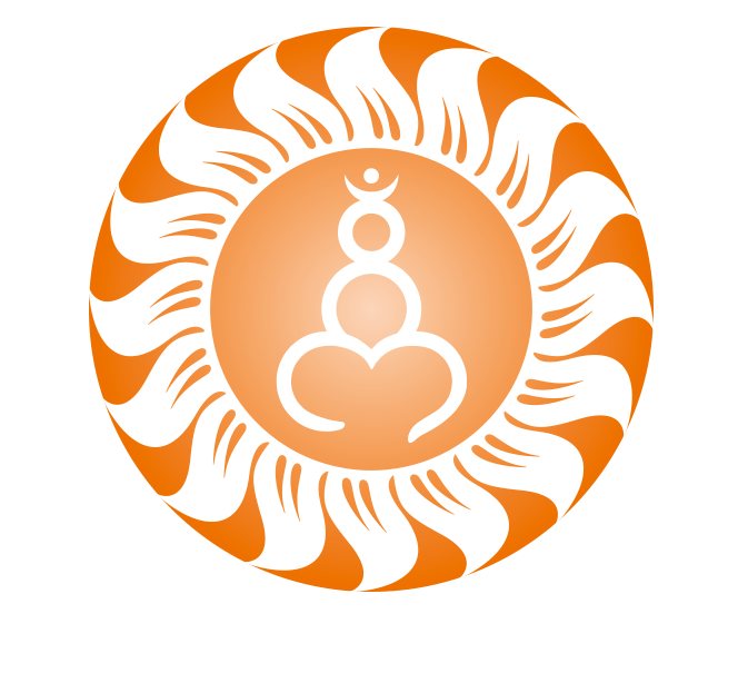 SOM-Programm